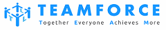 Teamforce Labour Ltd Logo