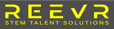 Senior Electrical Engineer Logo